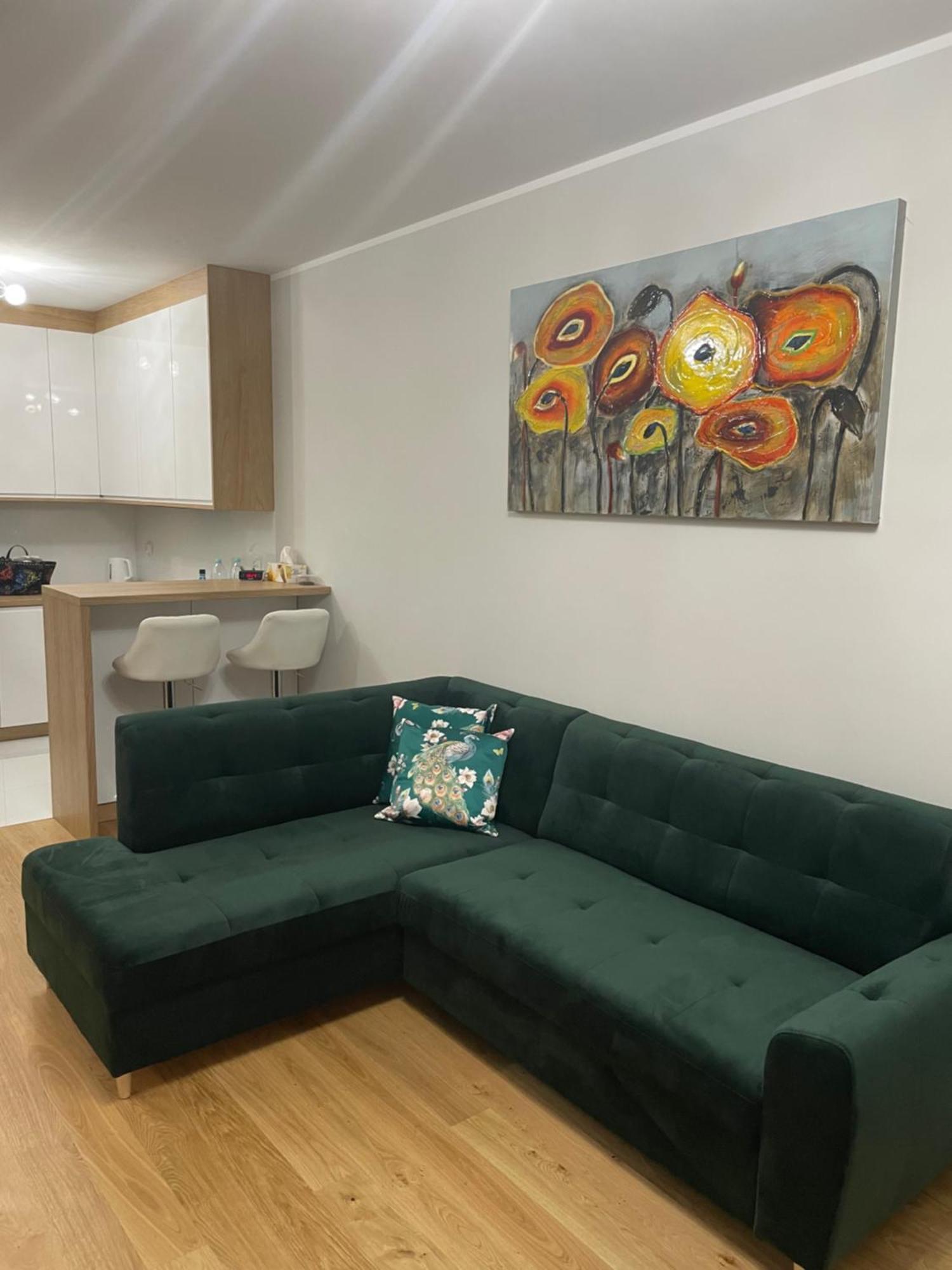 Apartament Vip II Centrum ビャウィストク エクステリア 写真